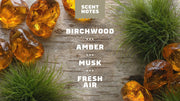 Birchwood Breeze Refreshing Face Wash