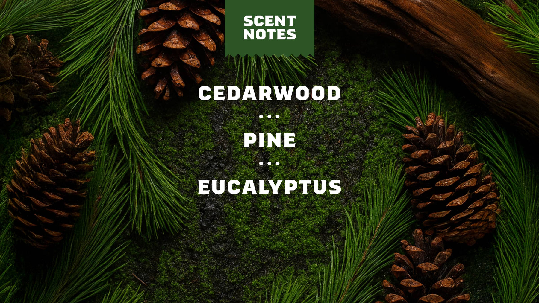 Pine Tar Deodorant