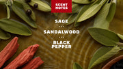 Sandalwood Summit Spray Deodorant