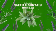 Alpine Sage