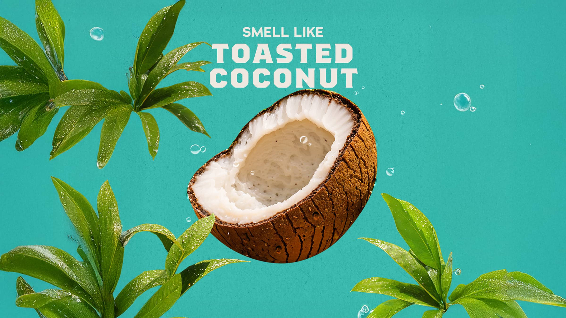 Coconut Castaway Hair Care Kit