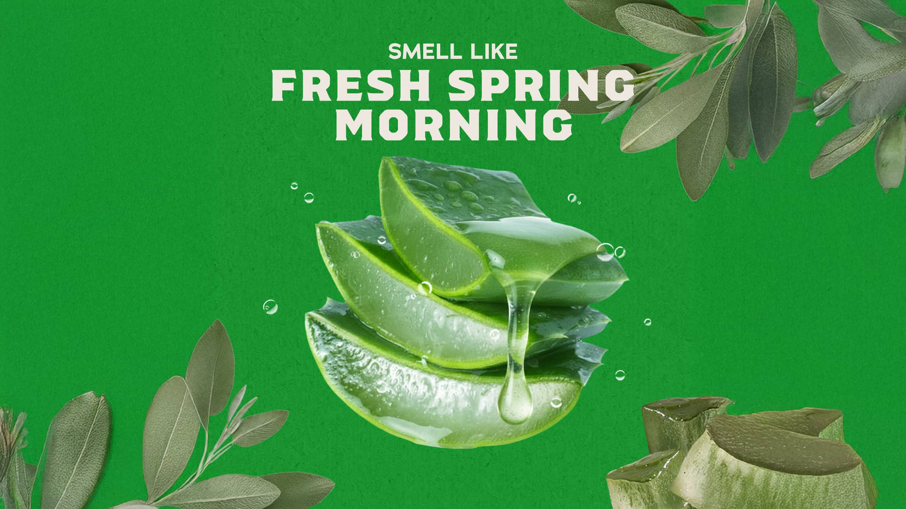 Cool Fresh Aloe Full & Thick Shampoo