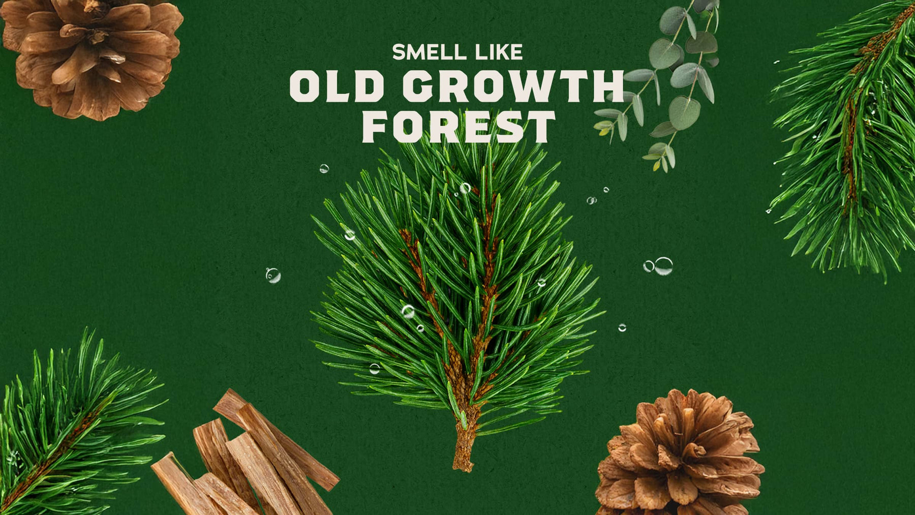 Woodland Pine Cologne