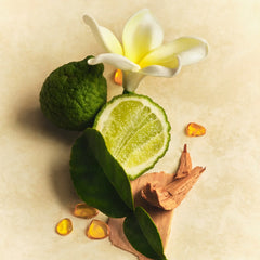 Skin Perfecting Body Lotion - Classic Pick